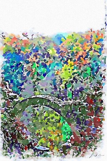 Arco con bosco