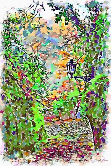 Alberi con lampione
