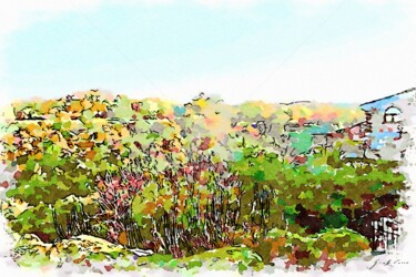 Scorcio casa con vista su bosco autunnale