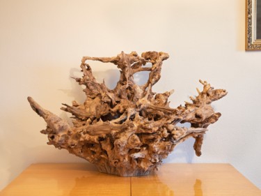 雕塑 标题为“Acacia root sculptu…” 由Jozef Sedmak, 原创艺术品, 木