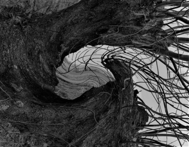 摄影 标题为“My twisted view on…” 由Cometp, 原创艺术品, 数码摄影