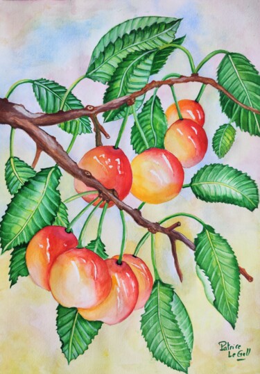 Painting titled "Cerises Napoléon" by Patrice Le Gall, Original Artwork, Watercolor
