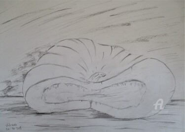Drawing titled "La Citrouille" by Roberto Urbano, Original Artwork, Pencil