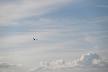 Photographie intitulée "Ecrit sur le ciel" par Camille R., Œuvre d'art originale, Photographie non manipulée