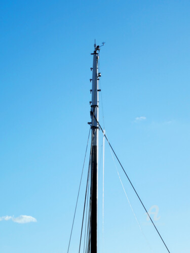 Tall modern mast with imitation wood technology + anemometer 「Tall modern mast wi…」というタイトルの写真撮影 Cédric Hajijiによって, オリジナルのアートワーク, デジタル