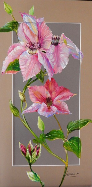 clématites rose 25x50-2021