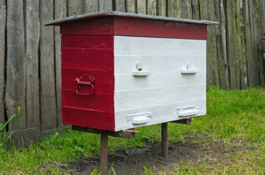 Photography titled "Beehive" by Art$Art, Original Artwork, Digital Photography