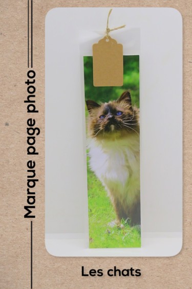Photographie intitulée "Marque page chat Sa…" par Christelle Prieur, Œuvre d'art originale, Photographie numérique