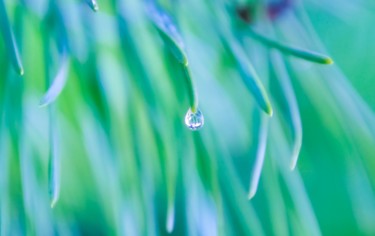 Photographie intitulée "Perle d'eau" par Christelle Prieur, Œuvre d'art originale, Photographie numérique