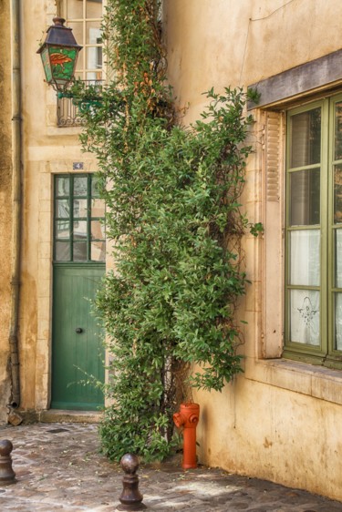 Photographie intitulée "La ruelle verte" par Christelle Prieur, Œuvre d'art originale, Photographie numérique