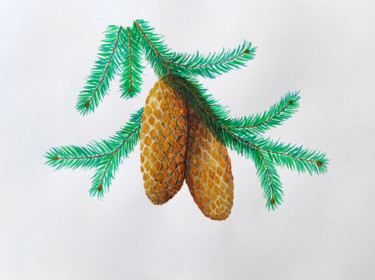 Spruce branch with two cones Peinture intitulée "Spruce branch with…" par Art$Art, Œuvre d'art originale, Aquarelle