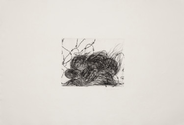 印花与版画 标题为“Sem título, 2016 *” 由Rafaela Antunes, 原创艺术品, 雕刻