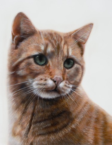 绘画 标题为“Orange Cat Rule” 由Maria Arias, 原创艺术品, 丙烯 安装在其他刚性面板上
