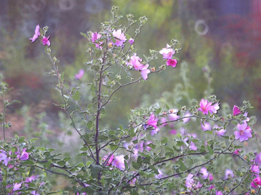 Photography titled "Notes florales" by Michel Guillaumeau, Original Artwork, Digital Photography