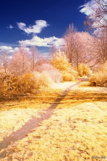 Path - Infrared photography Photographie intitulée "Path - Infrared pho…" par Ava Bob, Œuvre d'art originale, Photographie numérique Monté sur artwork_c…