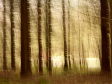 Photographie intitulée "Connexion....." par Philippe Berthier, Œuvre d'art originale, Photographie numérique