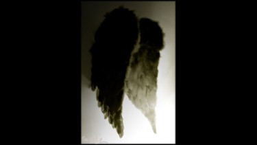Photographie intitulée "WINGS" par Scalp, Œuvre d'art originale