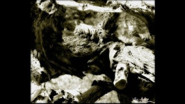 Photographie intitulée "wood.jpg" par Scalp, Œuvre d'art originale