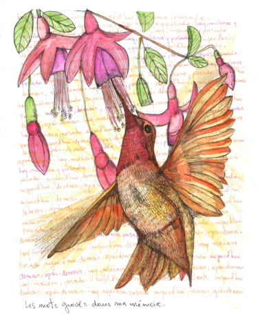 图画 标题为“Les mots” 由Florencia Escalante, 原创艺术品, 水彩