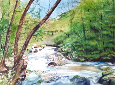 Peinture intitulée "Torrent de l'Albari…" par Adyne Gohy, Œuvre d'art originale, Aquarelle