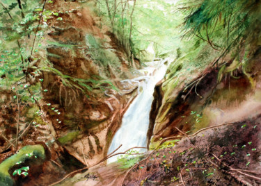 Peinture intitulée "Torrent d'Aloix" par Adyne Gohy, Œuvre d'art originale, Aquarelle