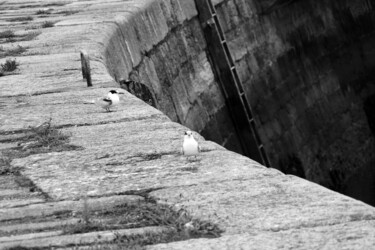 Photography titled "Près de l'échelle" by Camille R., Original Artwork, Non Manipulated Photography