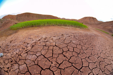 Photography titled "Symbol of drought" by Reza Fardinfar, Original Artwork, Digital Photography