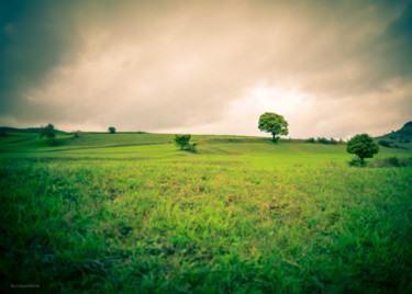 Photography titled "dream" by Reza Fardinfar, Original Artwork, Digital Photography