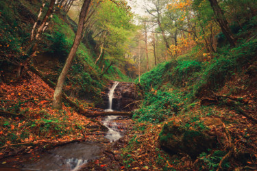 Photography titled "Friendship Seasons" by Reza Fardinfar, Original Artwork, Digital Photography