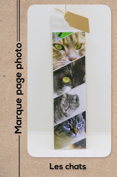 Photographie intitulée "Les chats en pèle m…" par Christelle Prieur, Œuvre d'art originale, Photographie numérique