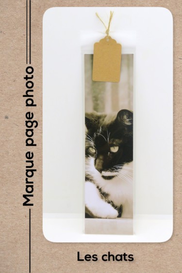 Photographie intitulée "Le chat noir et bla…" par Christelle Prieur, Œuvre d'art originale, Photographie numérique