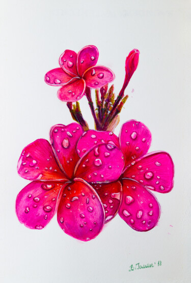 Plumeria or frangipani is a watercolor portrait of a flower. 「Plumeria or frangip…」というタイトルの絵画 Виктория Гаманによって, オリジナルのアートワーク, 水彩画