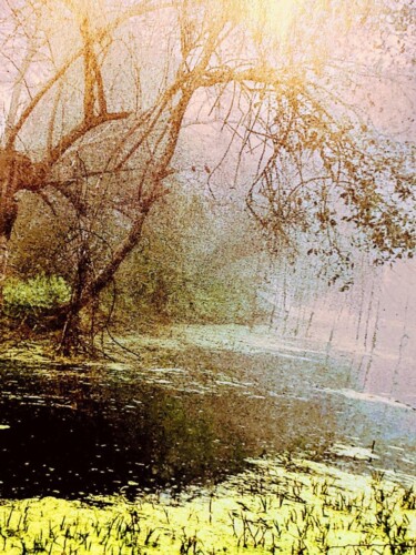 Photographie intitulée "Bords de l'eau" par Béatrice Marie Penaud, Œuvre d'art originale, Photographie numérique