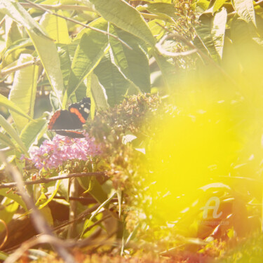 제목이 "Yellow filter and V…"인 사진 Cédric Hajiji로, 원작, 디지털