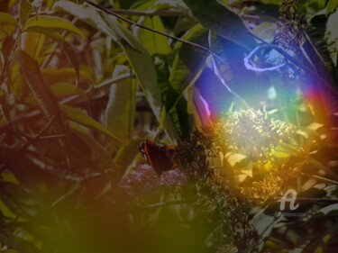 Photographie intitulée "Multicolored art la…" par Cédric Hajiji, Œuvre d'art originale, Photographie manipulée