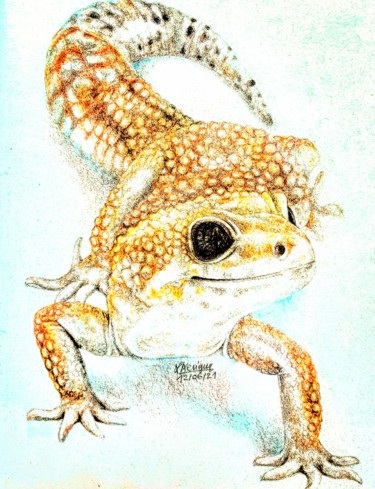 图画 标题为“Gecko” 由Laurence Keriguy, 原创艺术品, 铅笔
