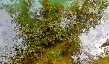 Photography titled "Au fil de l'eau" by Sylvie Metayer, Original Artwork, Digital Photography