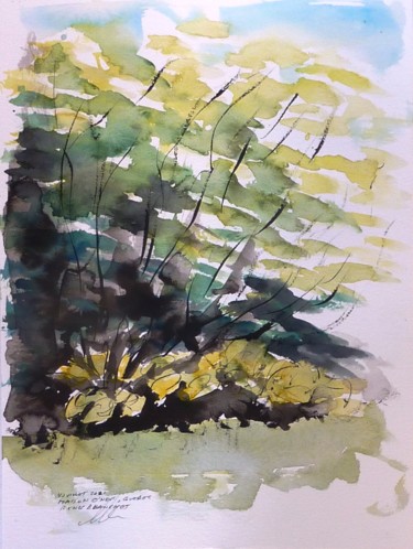 Drawing titled "Bosquet de la maiso…" by René Blanchet, Original Artwork, Ink