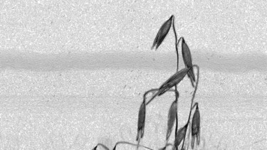 数字艺术 标题为“The one (part two)” 由Bez.Zvuka, 原创艺术品, 数字油画