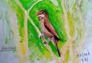 Schilderij getiteld "I' oiseau de Zasavi…" door Slobodan Spasojevic (Spaki), Origineel Kunstwerk, Pastel