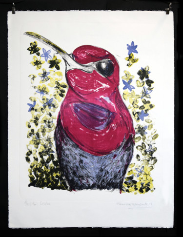 印花与版画 标题为“Colibri” 由Florencia Escalante, 原创艺术品, 光刻技术