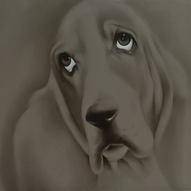 Painting titled "ARTURO" by Nicoletta Bagatti, Original Artwork, Oil