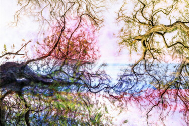 Photographie intitulée "Acacia" par Bruno Bisanti, Œuvre d'art originale, Photographie manipulée