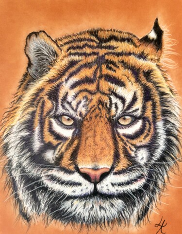 Рисунок под названием "EYES OF TIGER" - Lalyart, Подлинное произведение искусства, Пастель