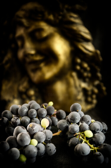 Fotografía titulada "Grape mood" por Alexander Mats, Obra de arte original, Fotografía digital