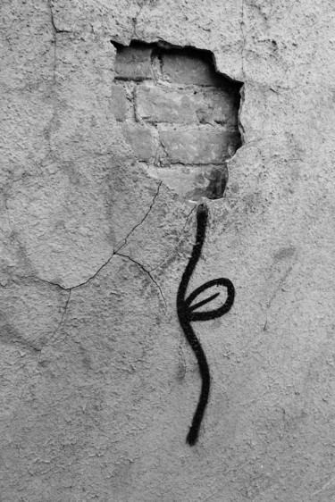 Photographie intitulée "City flower" par Andrii Bilonozhko, Œuvre d'art originale, Photographie numérique
