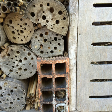 Photography titled "Une maison pour les…" by Camille R., Original Artwork, Non Manipulated Photography