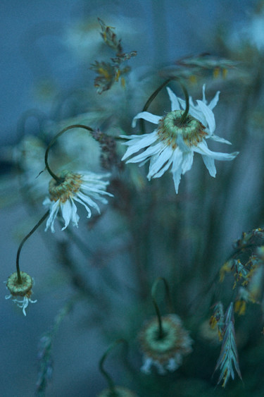 Photographie intitulée "Oubli 3" par Ekaterina Bokova, Œuvre d'art originale, Photographie numérique
