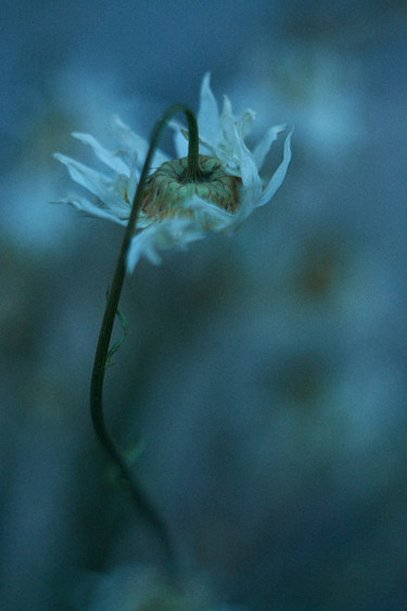 Photographie intitulée "Oubli 5" par Ekaterina Bokova, Œuvre d'art originale, Photographie numérique