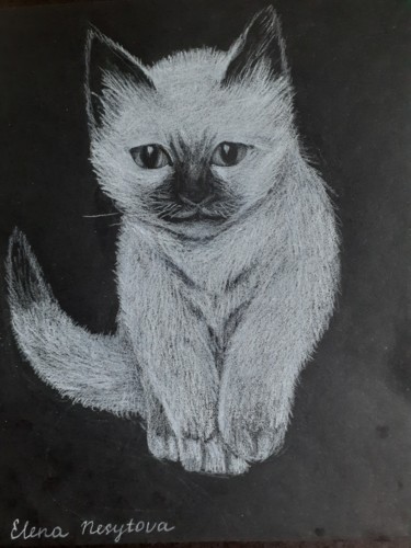 图画 标题为“Chaton siamois” 由Elena Nesytova, 原创艺术品, 铅笔